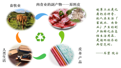 全天然高舒適度生態(tài)皮革減碳制造關(guān)鍵材料與技術(shù)研發(fā)