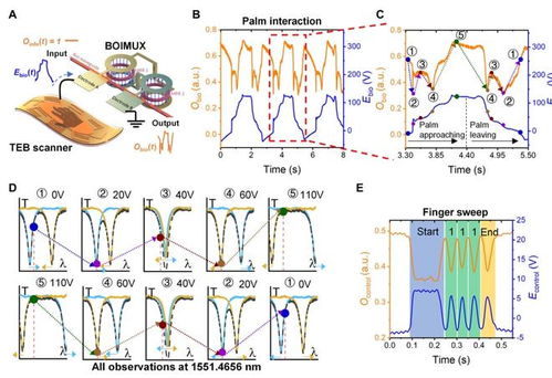 巧妙結(jié)合集成光子芯片和摩擦電技術(shù),新加坡國立大學(xué)團(tuán)隊研發(fā)高速通信基礎(chǔ)設(shè)施的生物識別保護(hù)技術(shù)