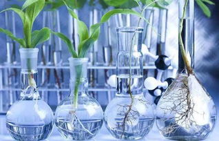 無處不在的化學(xué) 生物基材料技術(shù)研發(fā)的機(jī)遇與挑戰(zhàn)