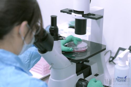 打造產(chǎn)業(yè)鏈 惠邦生物以獨(dú)創(chuàng)能力加碼IVD創(chuàng)新產(chǎn)品研發(fā)，持續(xù)發(fā)力原料市場(chǎng)與生物基材料技術(shù)研發(fā)