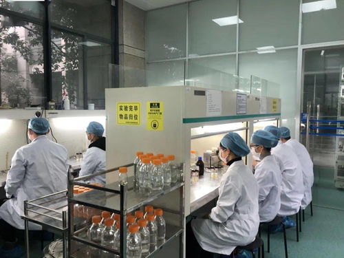 生物選考沖刺提分秘籍 高中生物實驗訓練營寒假開啟，助力未來生物基材料技術研發