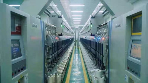 為治理白色污染提供蚌埠方案——記第二屆中國生物基材料產(chǎn)業(yè)發(fā)展大會暨生物基材料技術研發(fā)新動向